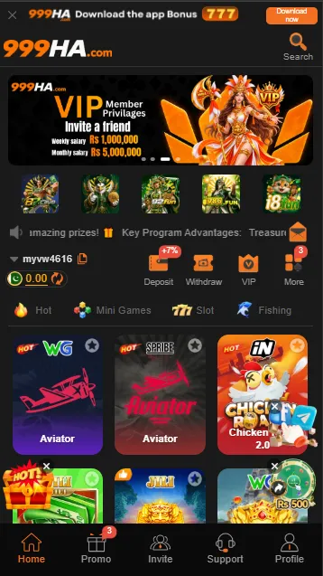 999HA Game Interface