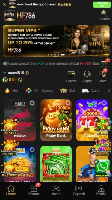 HF786 Game