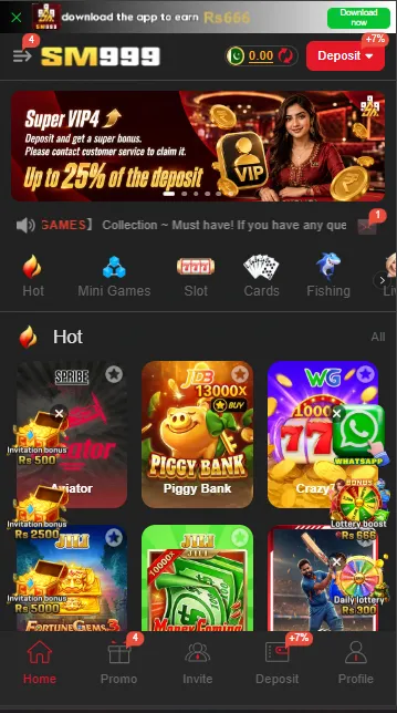 SM999 Game Interface