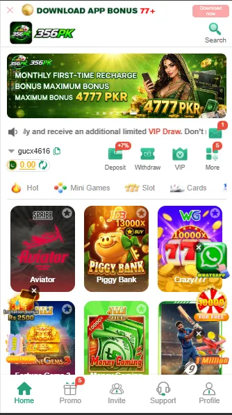 356PK Game Interface