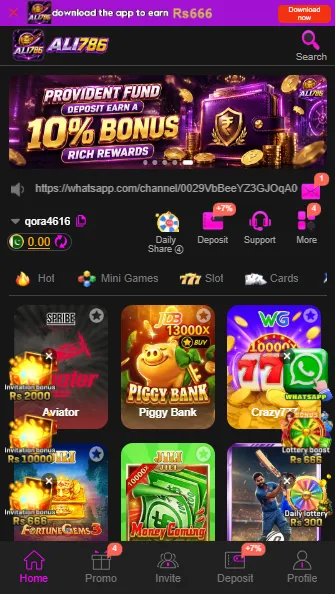 ALI786 Game Interface