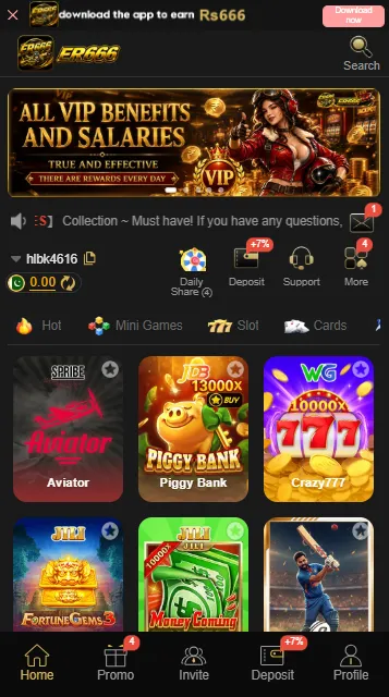ER666 Game Interface