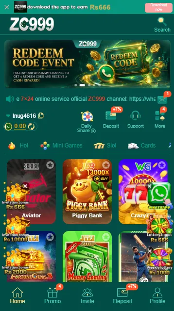 ZC999 Game Interface