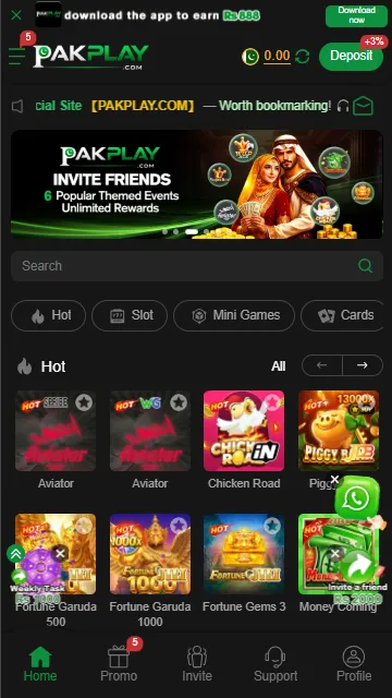 PAKPLAY Game Interface