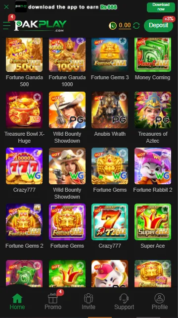 PAKPLAY Games Options